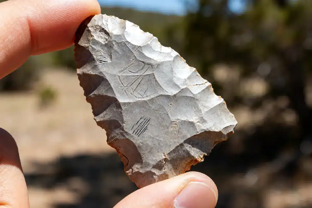Thumb Scraper Artifact: History, Identification, and Authenticity Tips